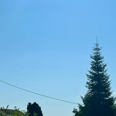 Daisy House Golden Area 別荘