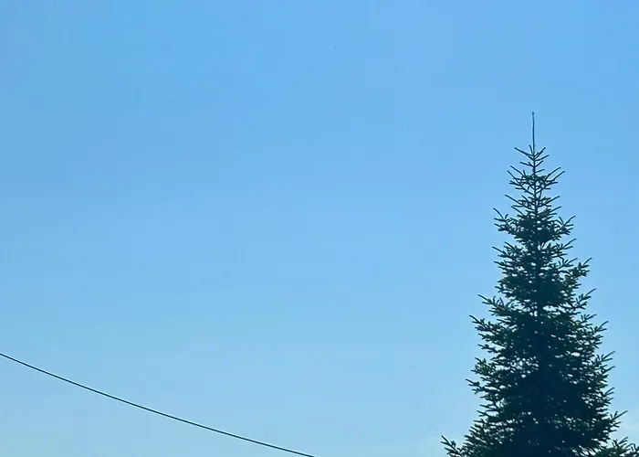 Daisy House Golden Area 別荘