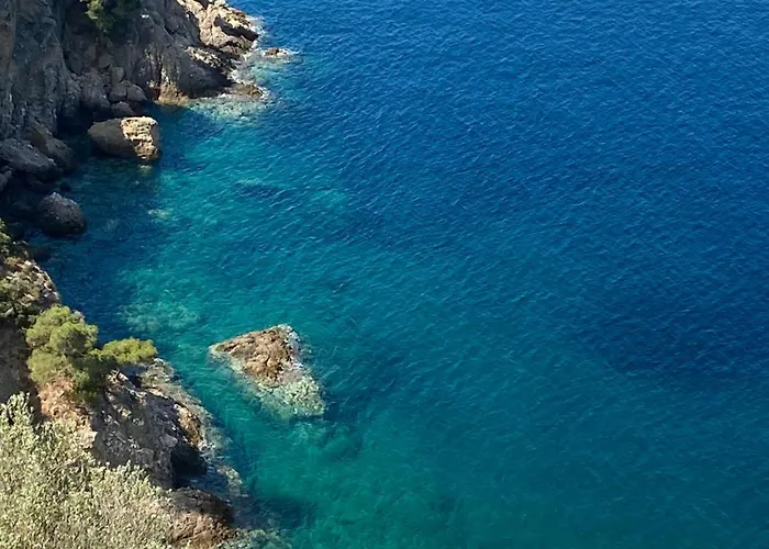 Daisy House Golden Area *