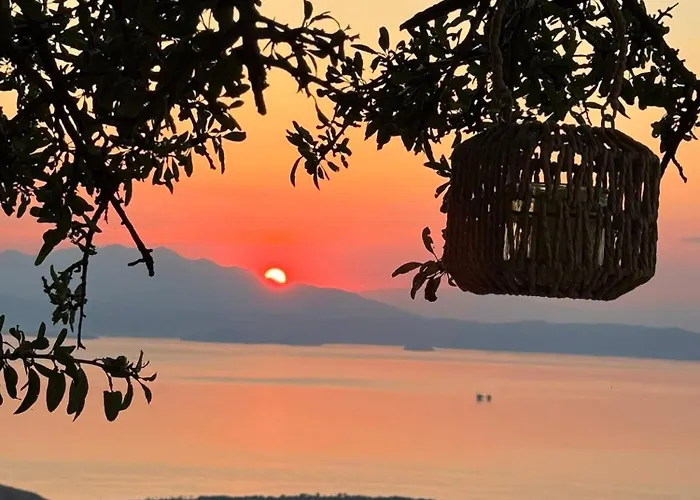 Daisy House Golden Area